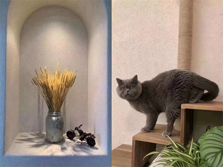 1648695766716832.jpg 61c4a52e52bbdd72b562ac7e979fc1a.jpg